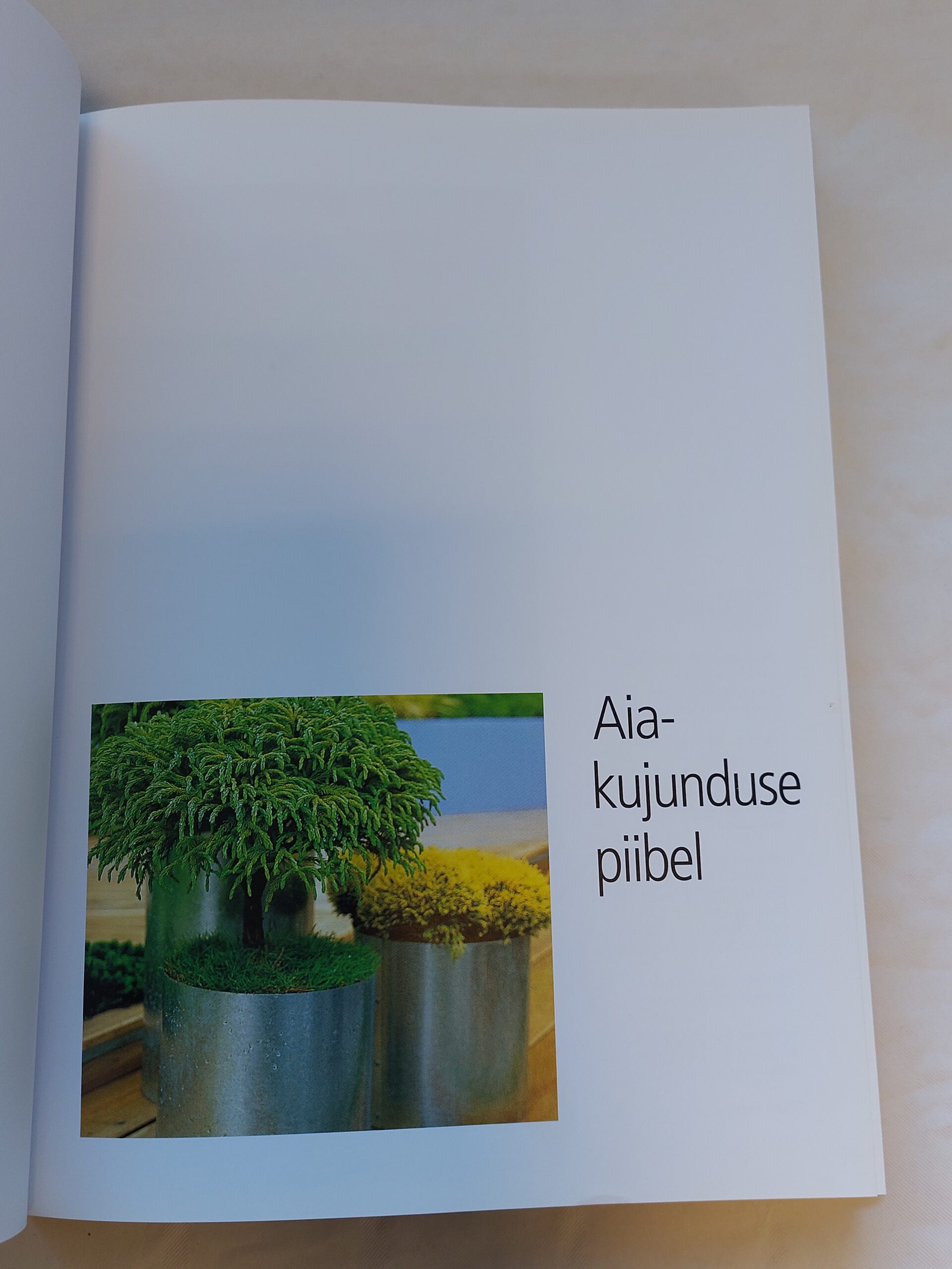 Aiakujunduse piibel. Tim Newbury. 2008 - Image 2