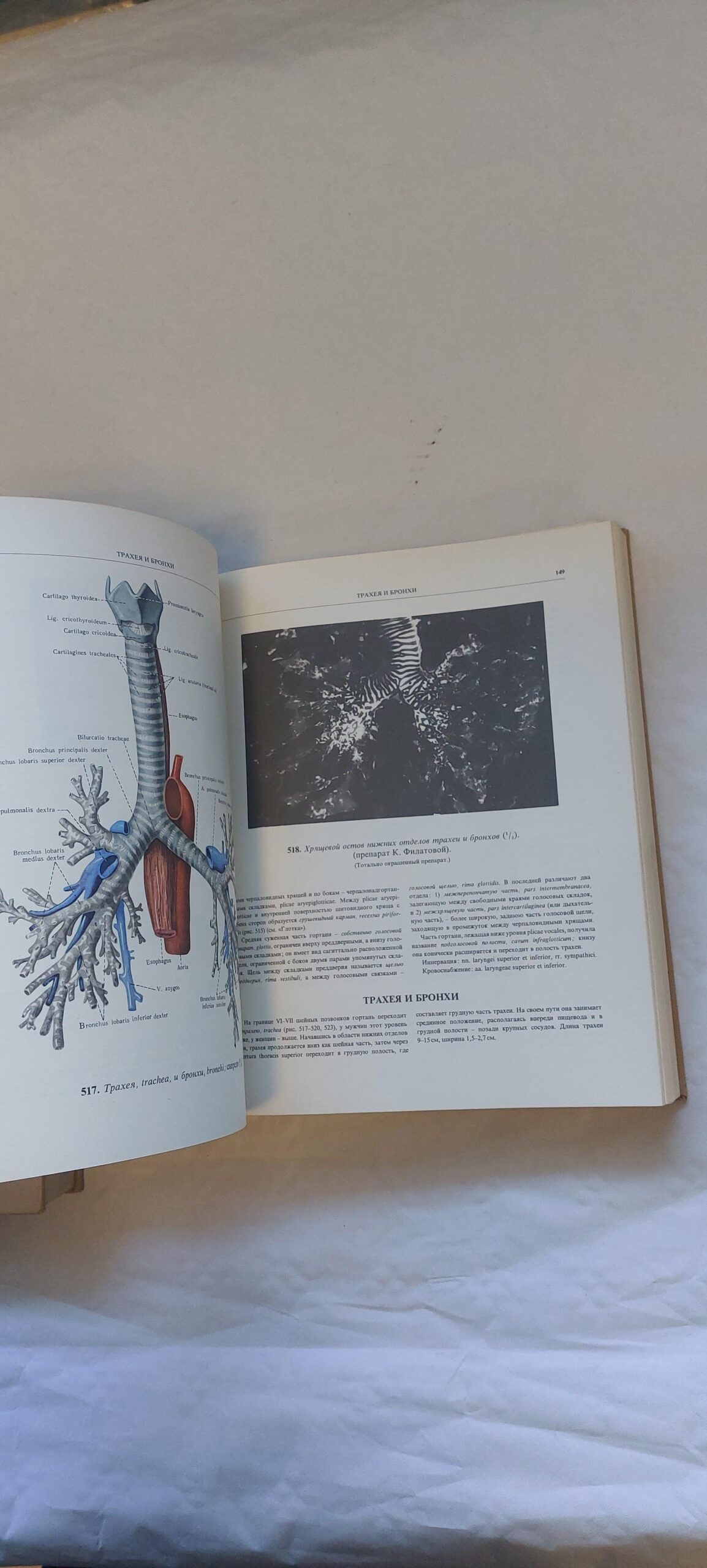 АТЛАС АНАТОМИИ ЧЕЛОВЕКА I-II. Р. Д. СИНЕЛЬНИКОВ. 1978, 1979 - Image 4