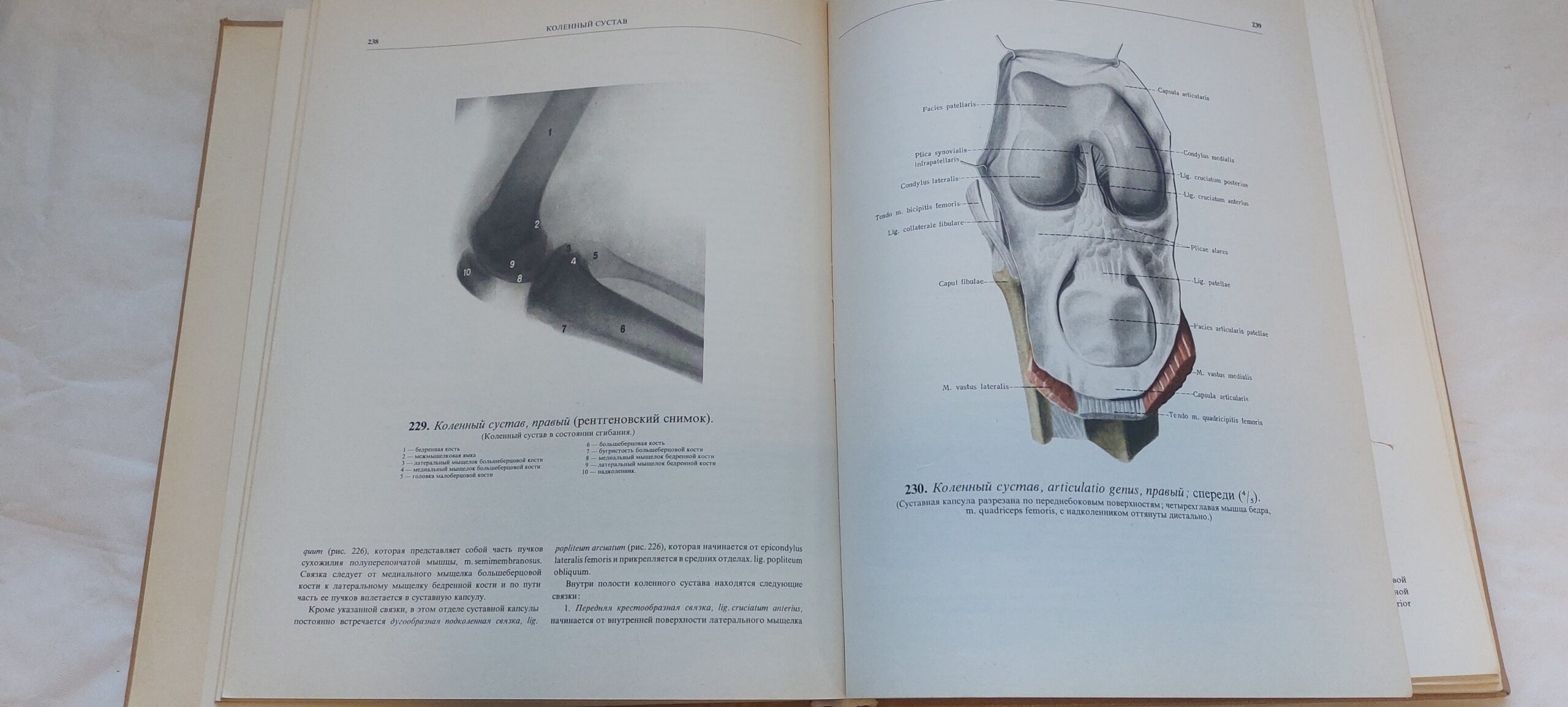 АТЛАС АНАТОМИИ ЧЕЛОВЕКА I-II. Р. Д. СИНЕЛЬНИКОВ. 1978, 1979 - Image 6