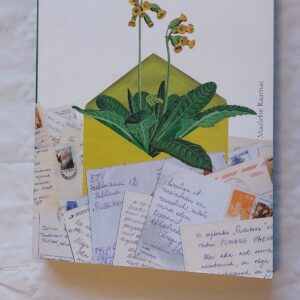 Prillitoosi ravimtaime mäng. 2008