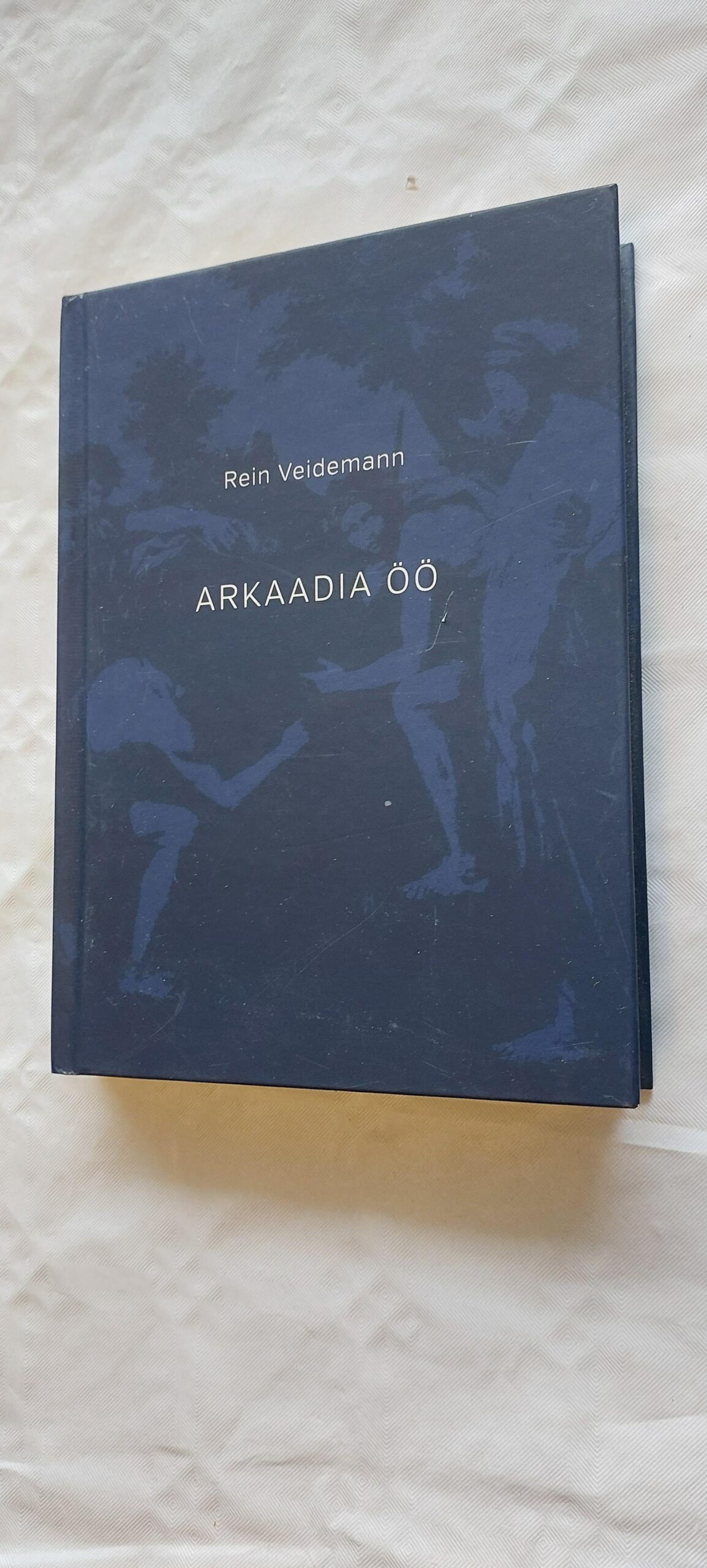 Arkaadia öö. Rein Veidemann. 2014