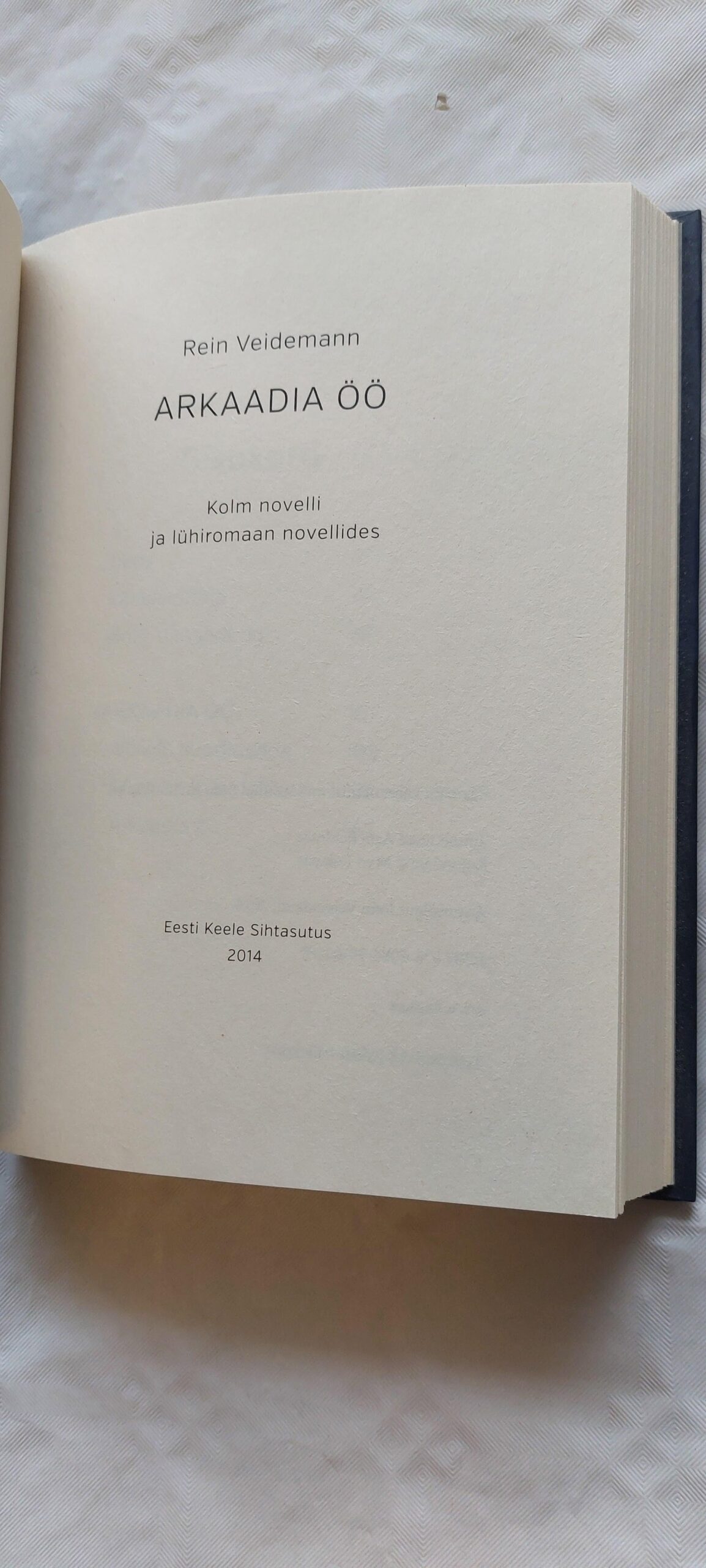 Arkaadia öö. Rein Veidemann. 2014 - Image 2