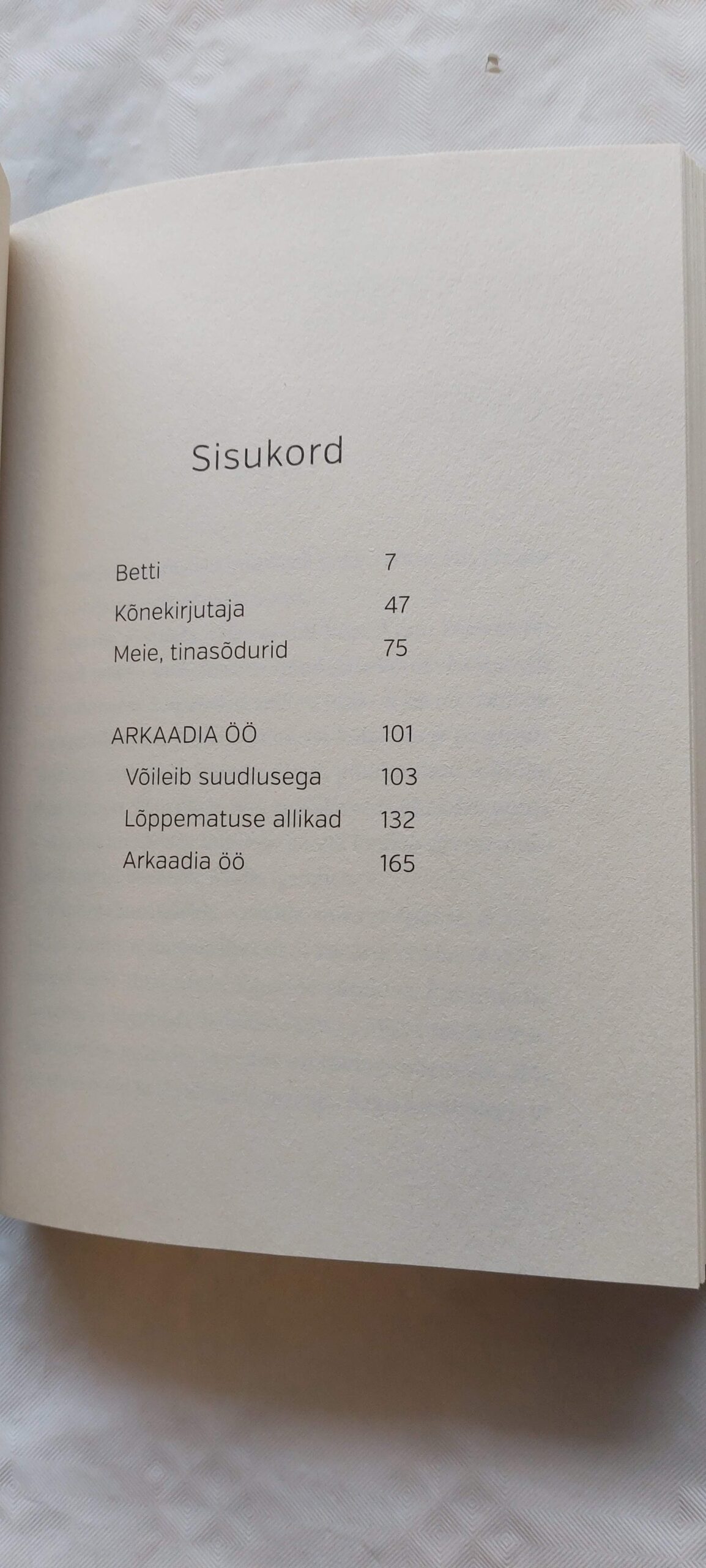 Arkaadia öö. Rein Veidemann. 2014 - Image 3