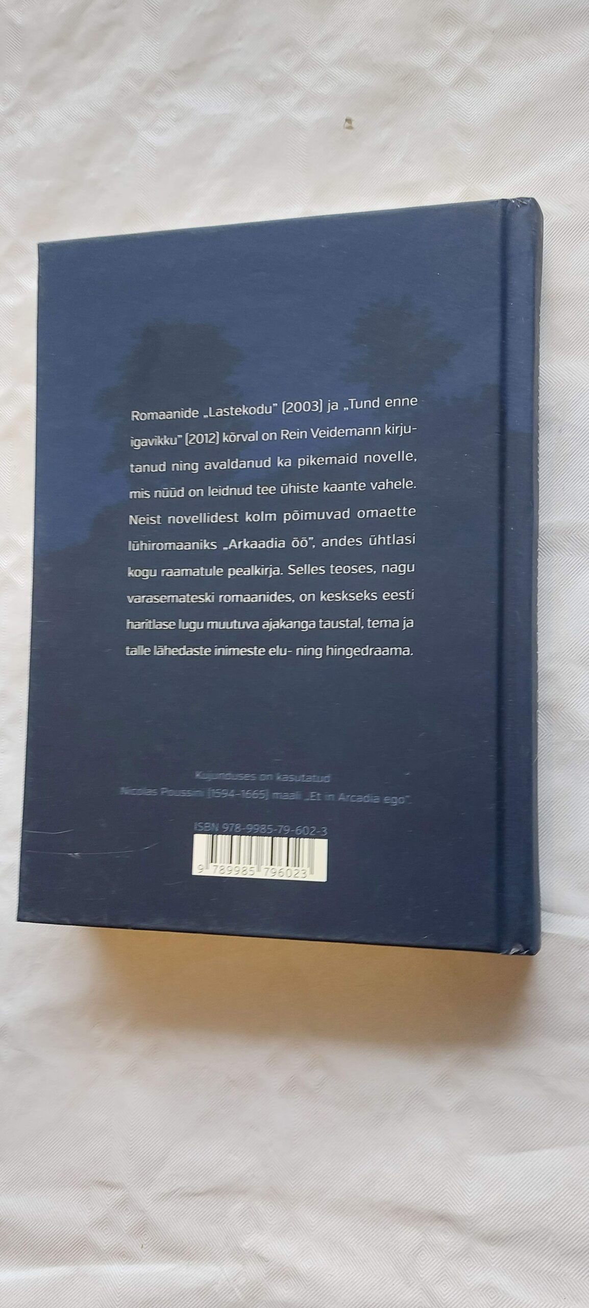 Arkaadia öö. Rein Veidemann. 2014 - Image 4