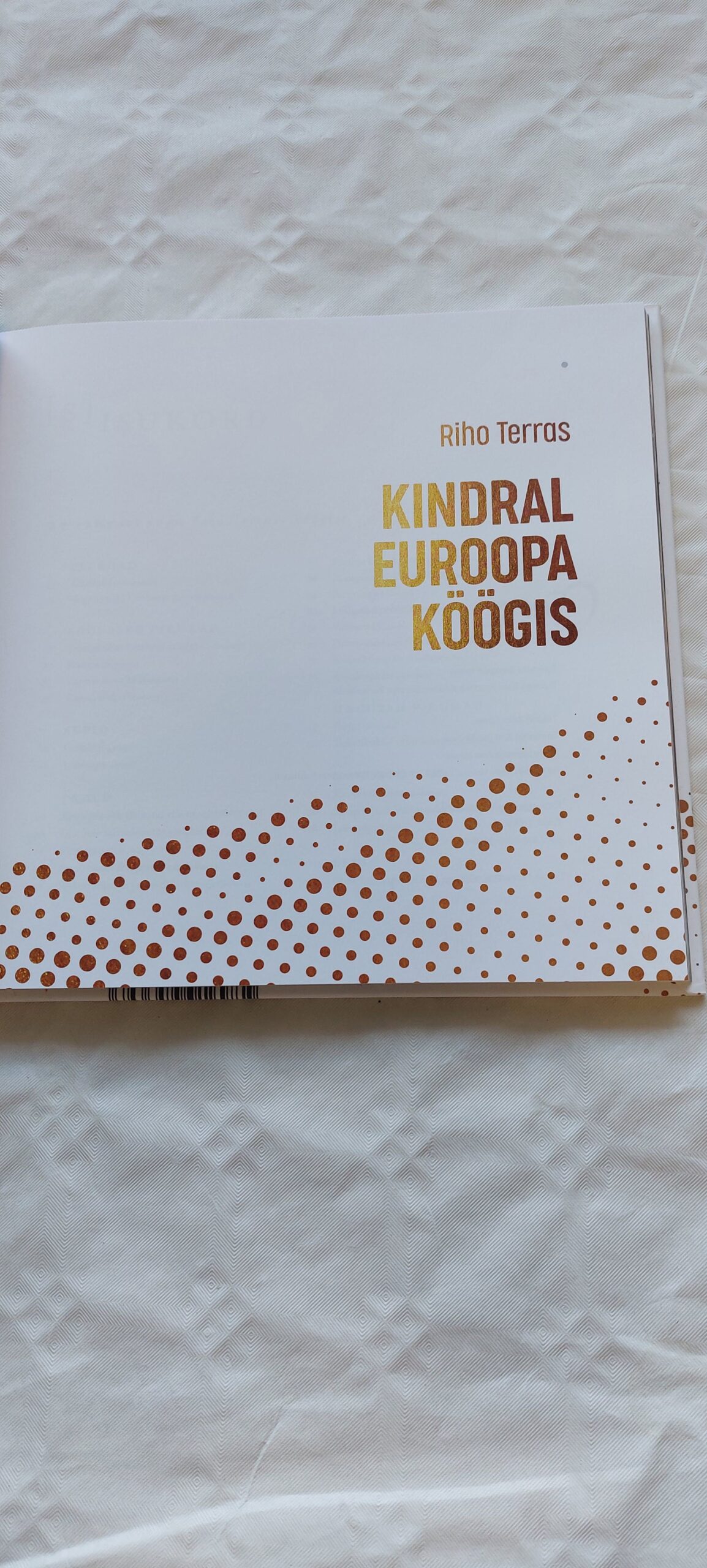 Kindral euroopa köögis. Riho Terras. 2024 - Image 2