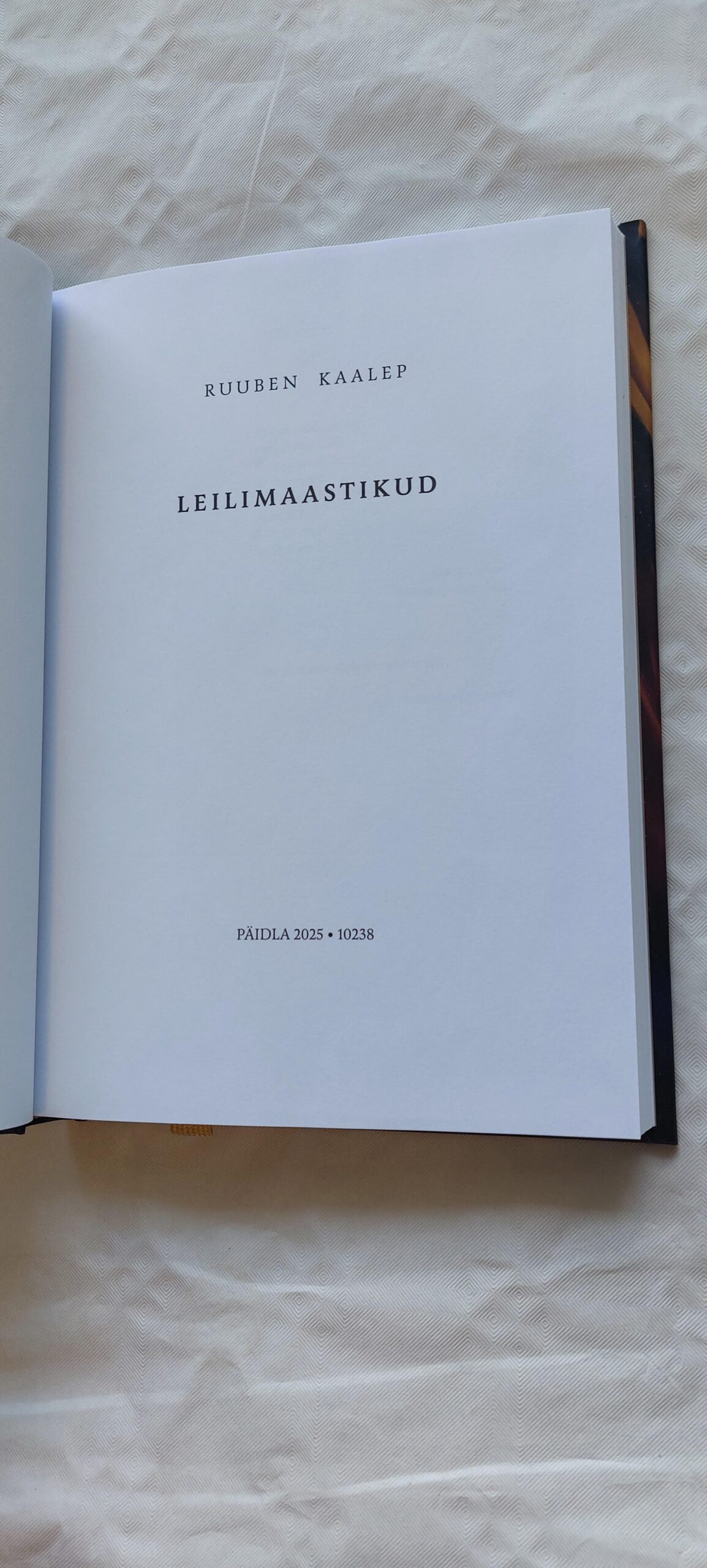 Leilimaastikud. Ruuben Kaalep. 2025 - Image 2