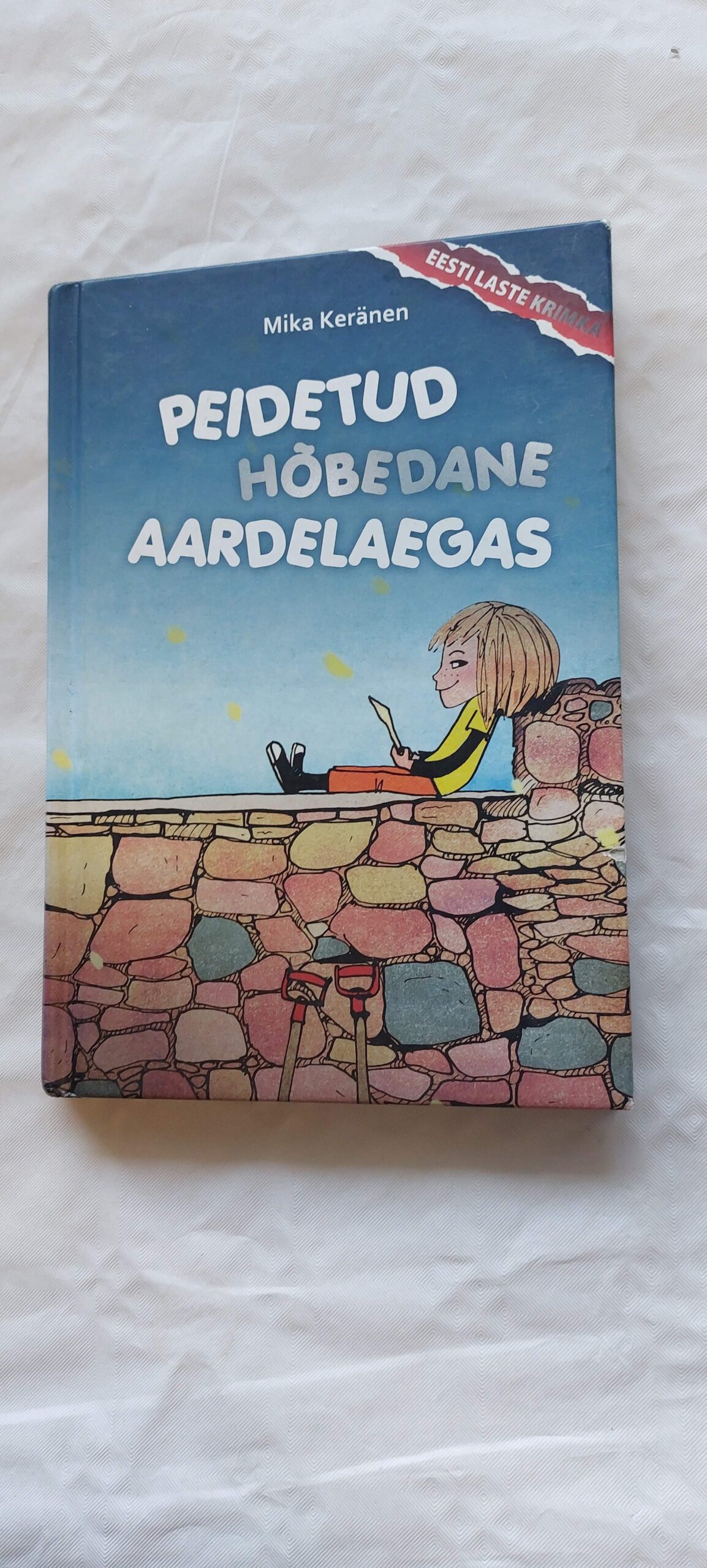 Peidetud hõbedane aardelaegas. Mika Keränen. 2009