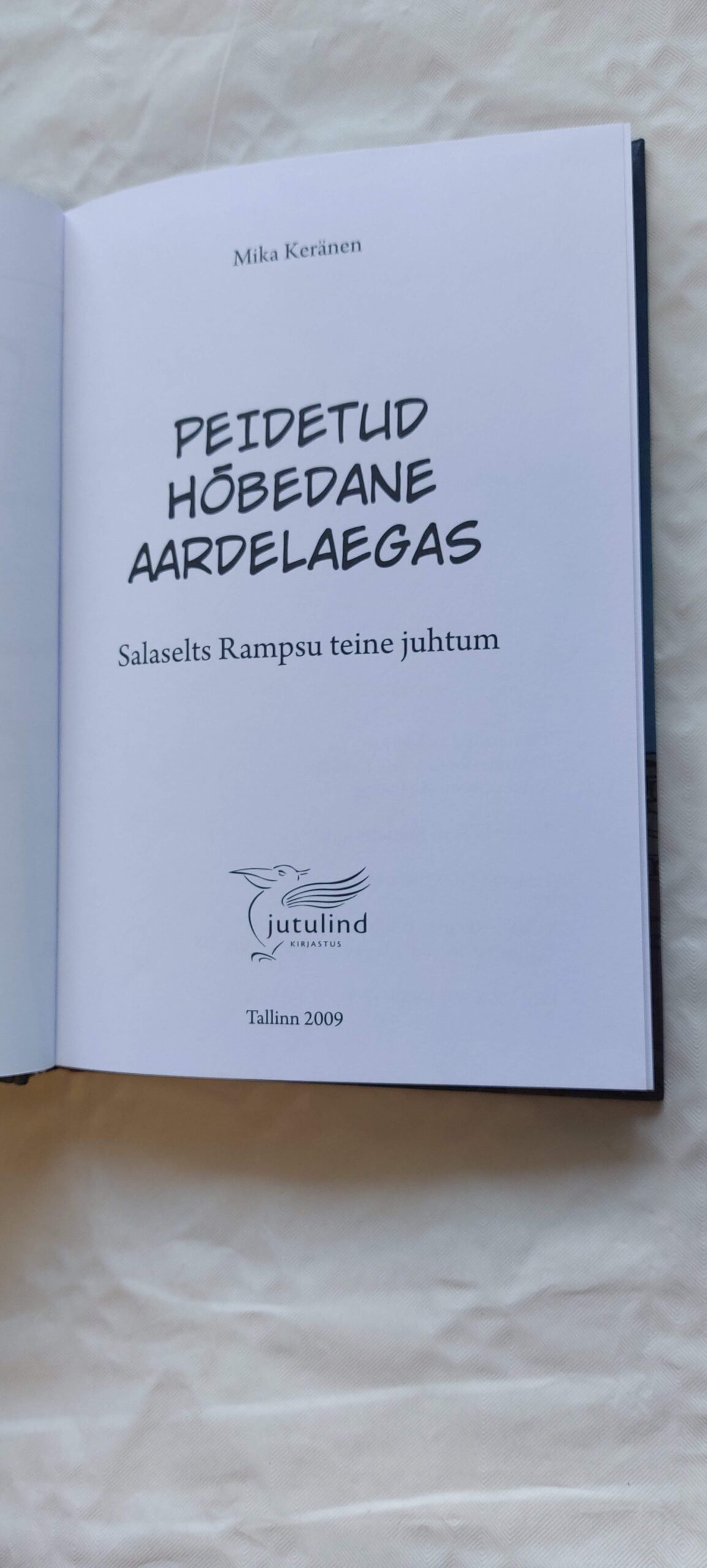 Peidetud hõbedane aardelaegas. Mika Keränen. 2009 - Image 2