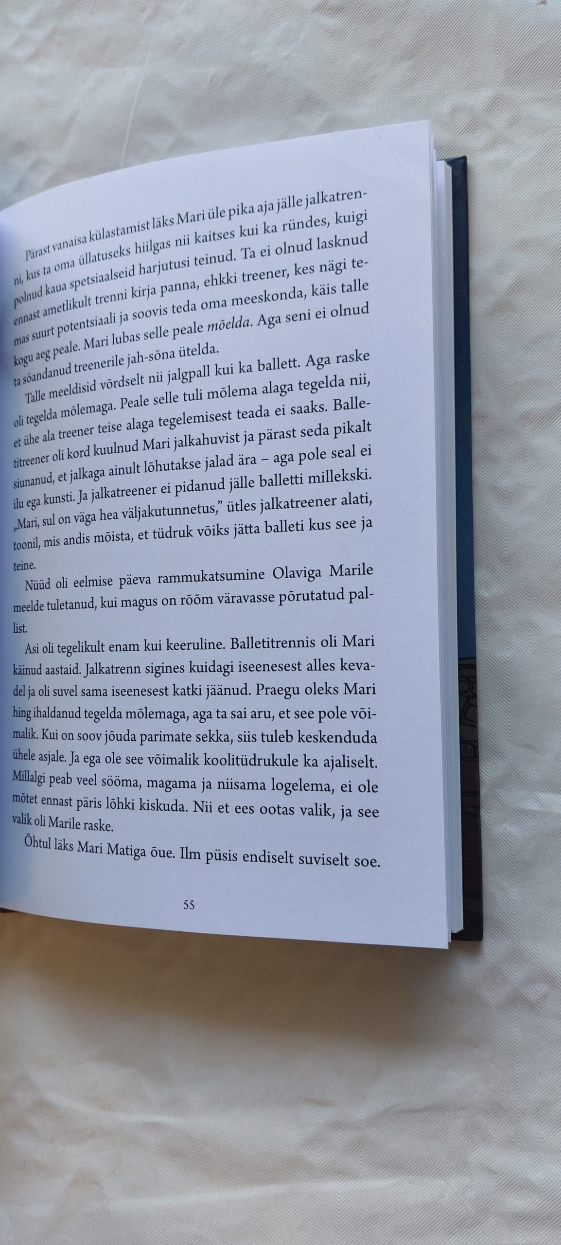 Peidetud hõbedane aardelaegas. Mika Keränen. 2009 - Image 3