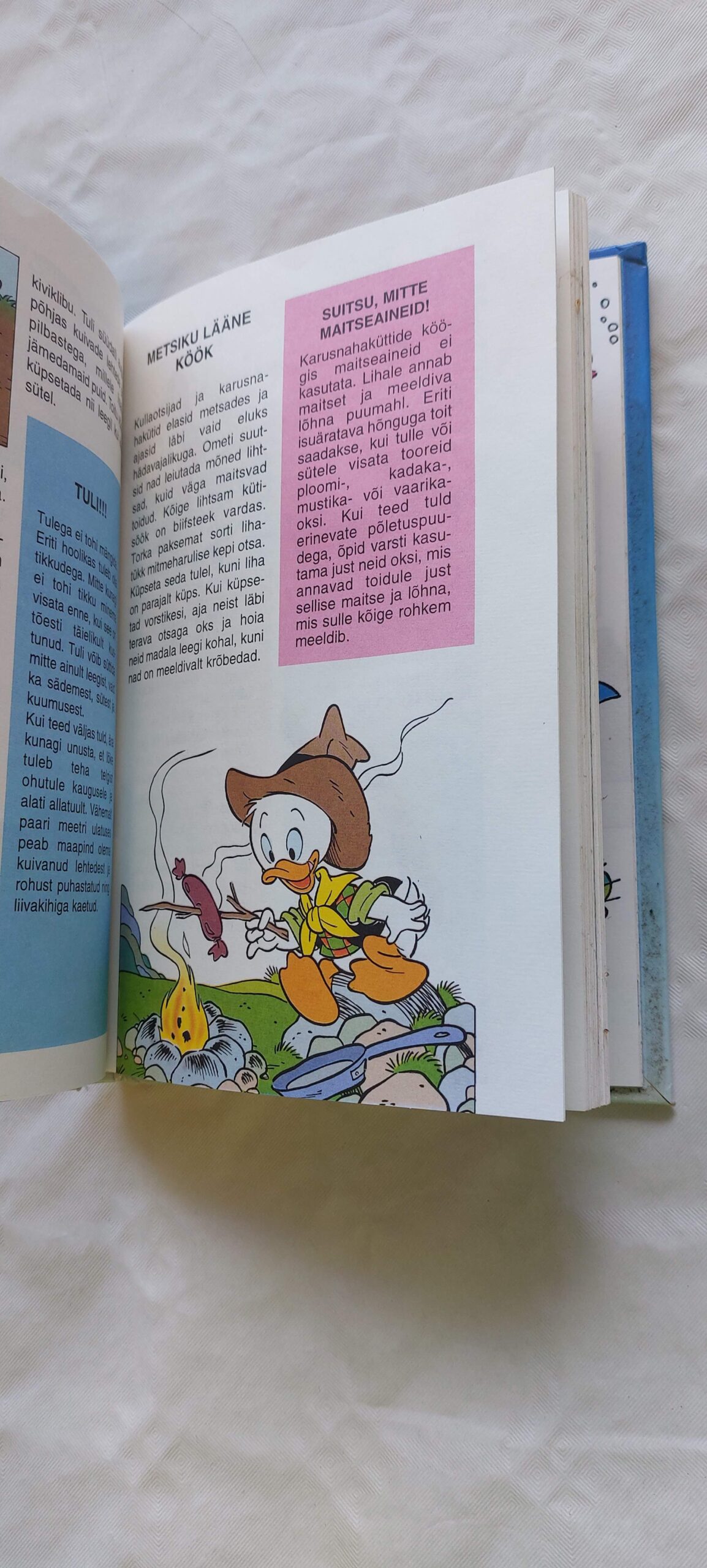 Walt Disney tarkuseraamat. Meri. 1996 - Image 3
