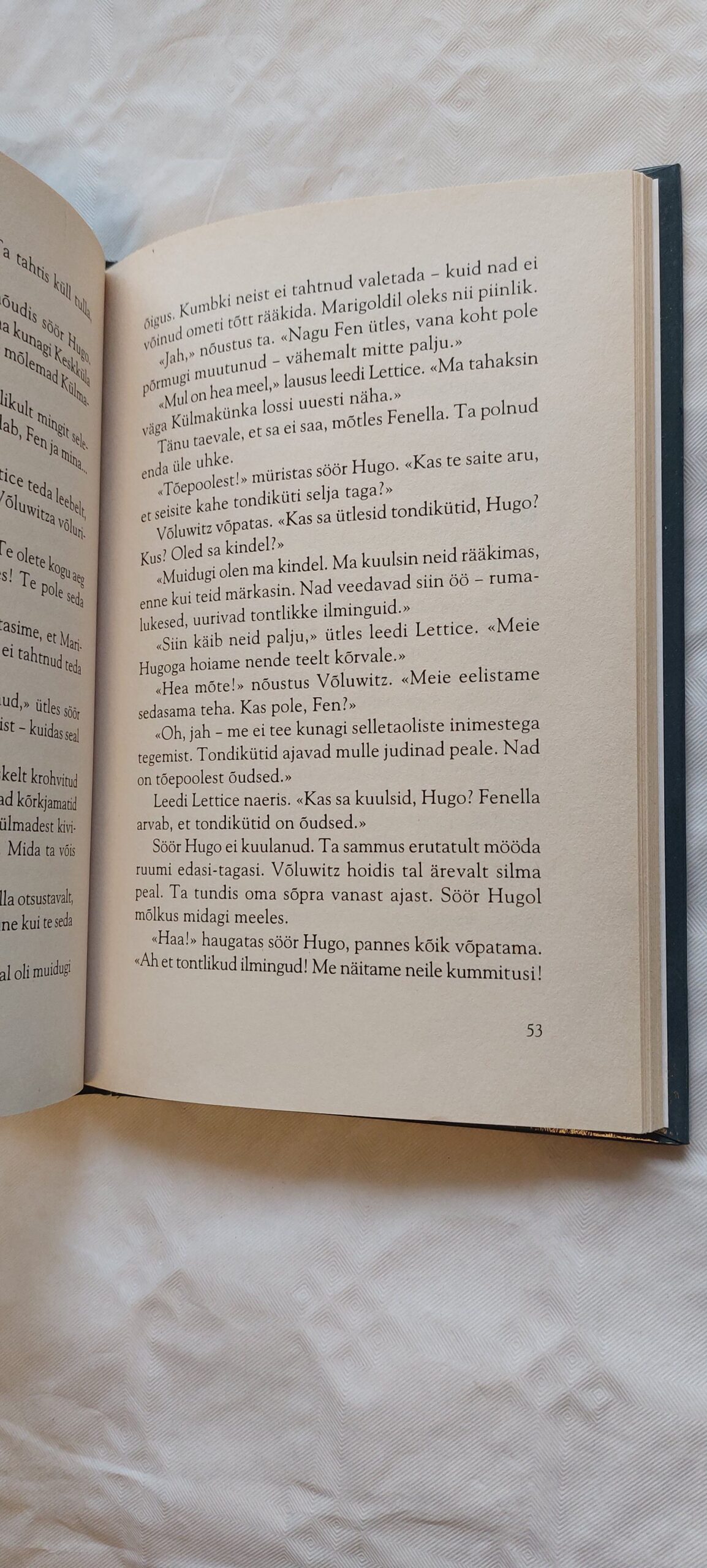 Võluwitz ja tulus tonditeatmik. Linda Pitt. 2003 - Image 3