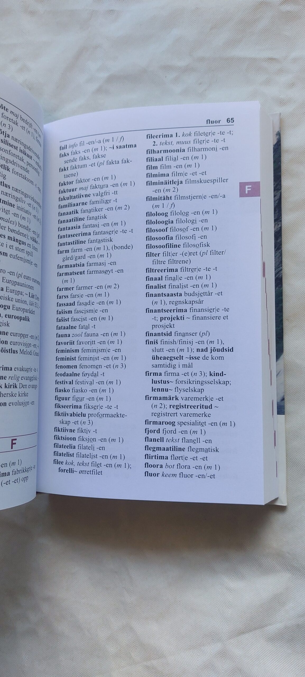 Eesti-Norra sõnastik. Estisk-Norsk ordliste. 2010 - Pilt 3