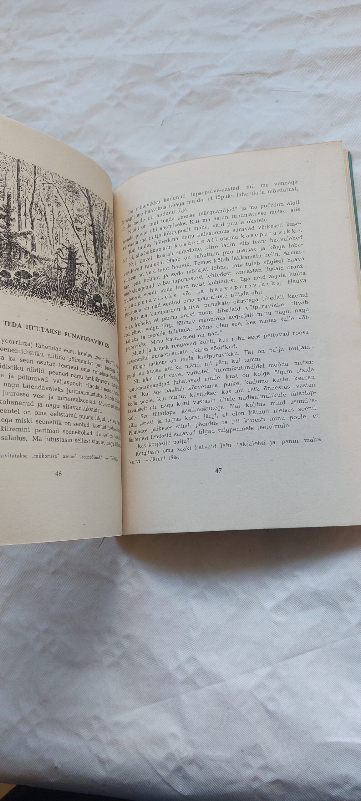 Täis korvike. N. Nadeždina. 1949 - Pilt 4