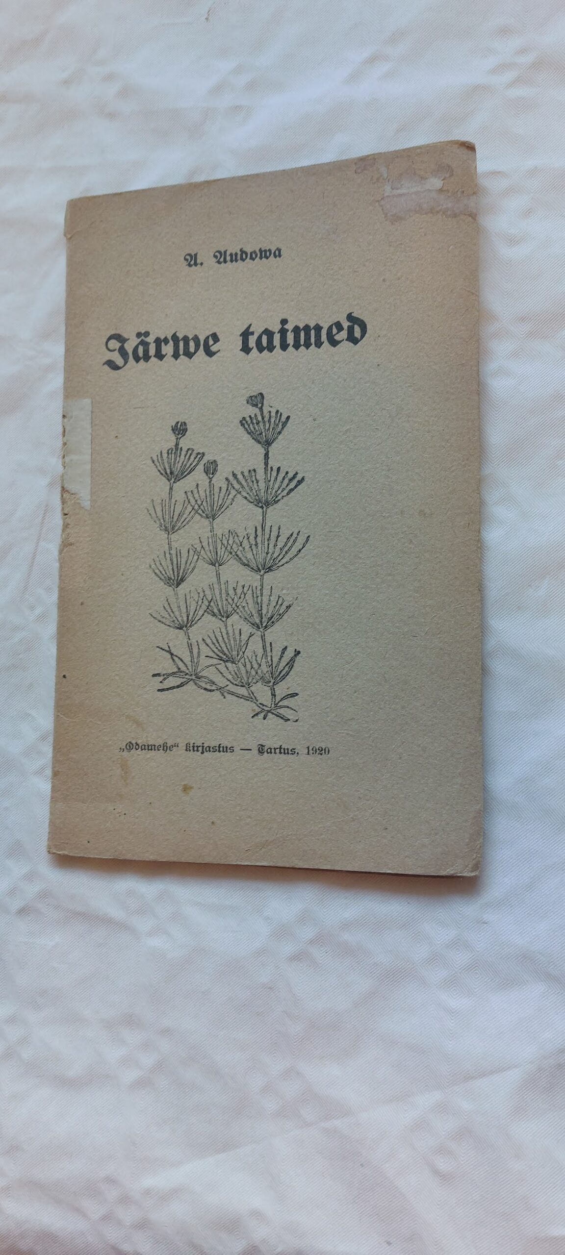 Järwe taimed. Aleksander Audova. 1920