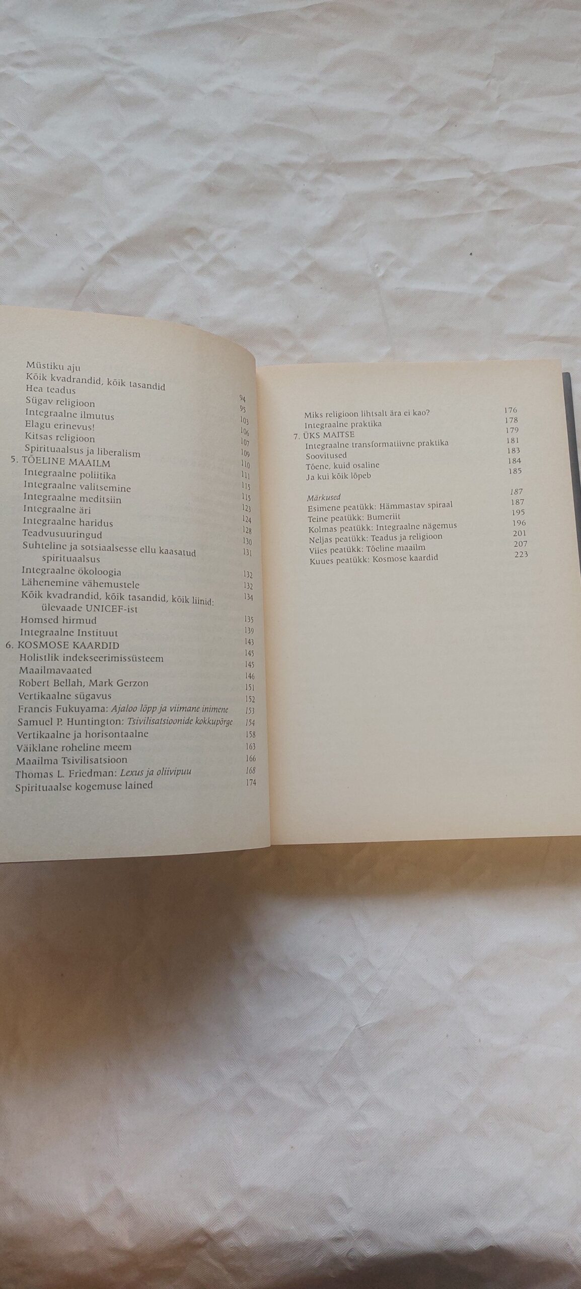 Kõiksuse teooria. Ken Wilber. 2003 - Pilt 4