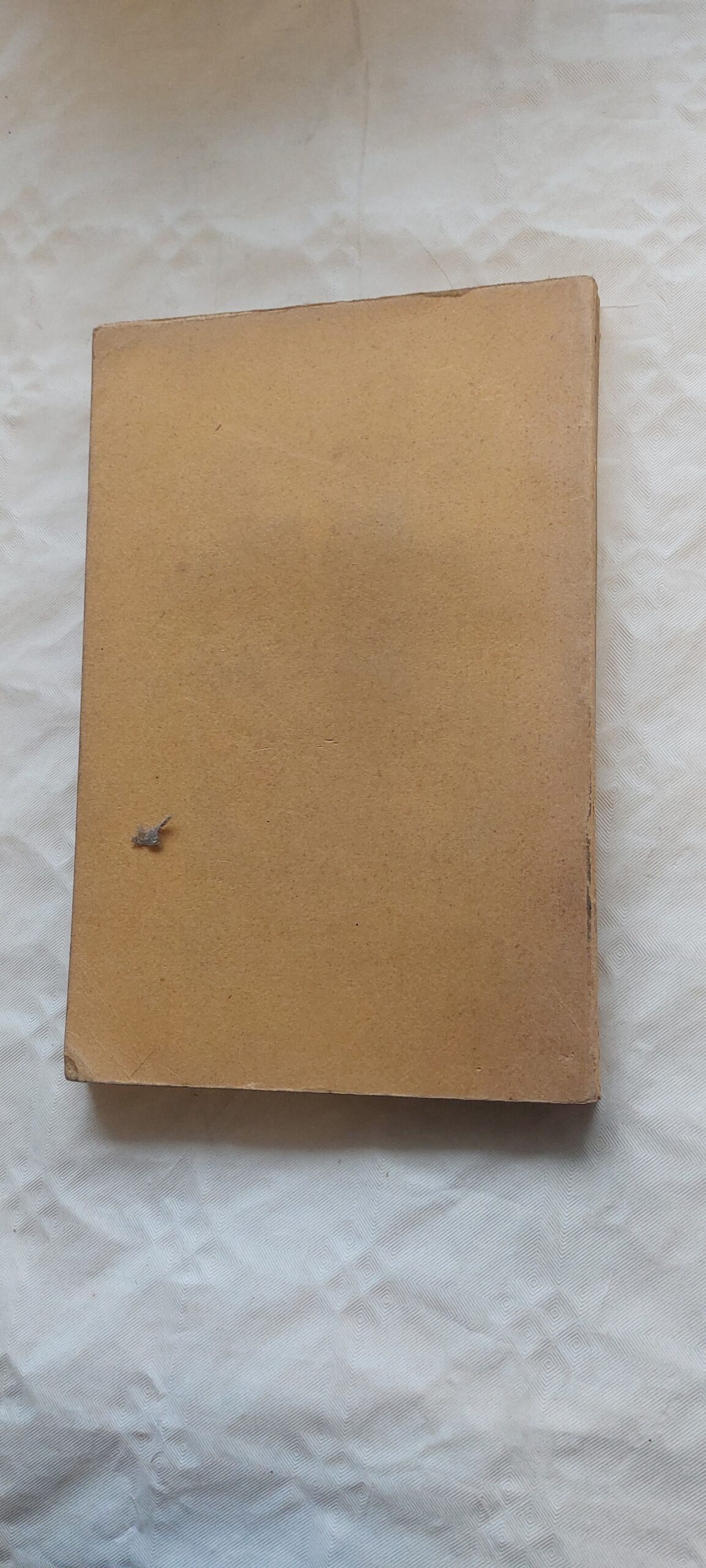 Teekond Hispaania. Friedebert Tuglas. 1923 - Pilt 4