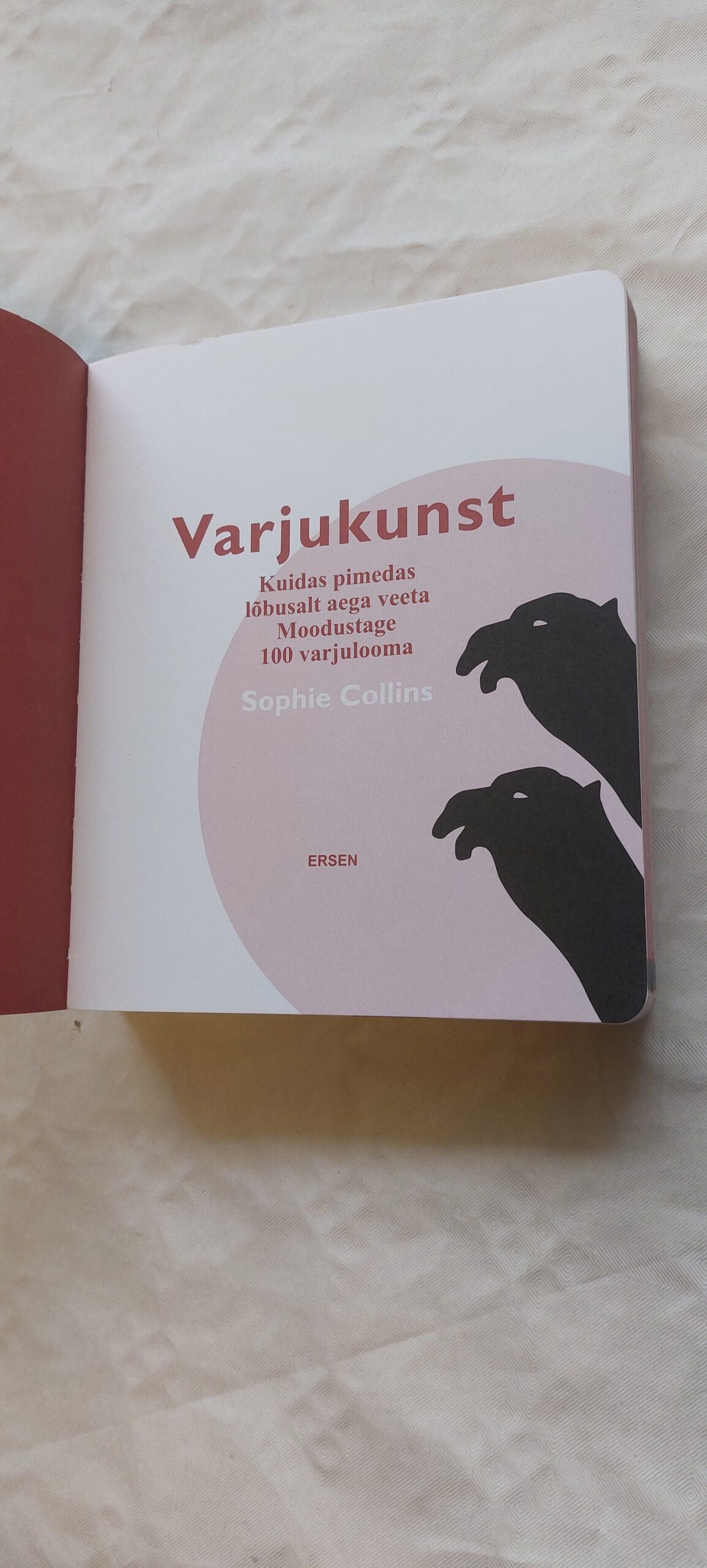 Varjukunst. Sophie Collins. 2007 - Pilt 2