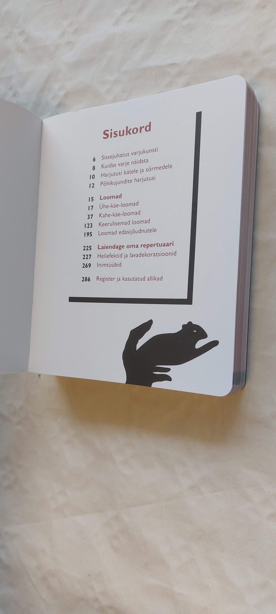 Varjukunst. Sophie Collins. 2007 - Pilt 3
