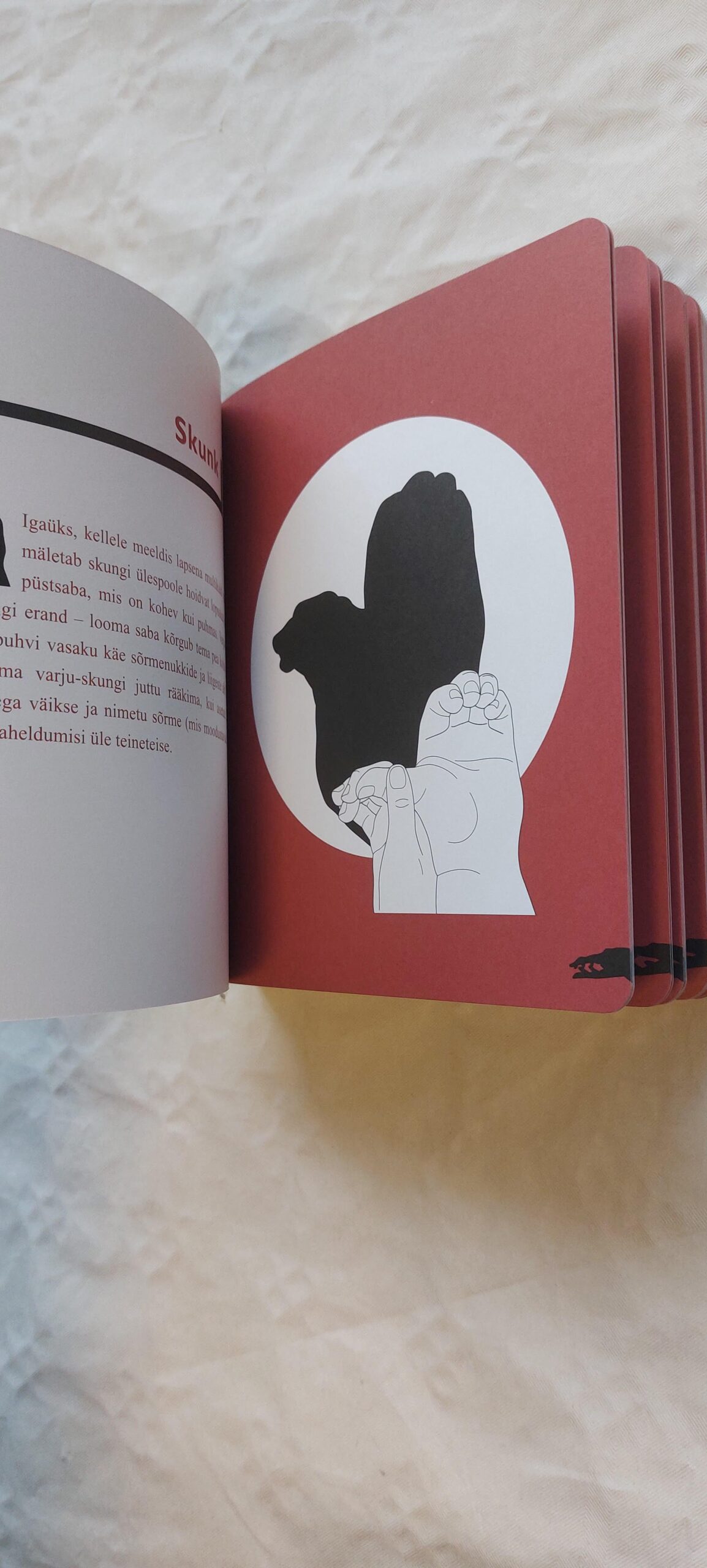 Varjukunst. Sophie Collins. 2007 - Pilt 4