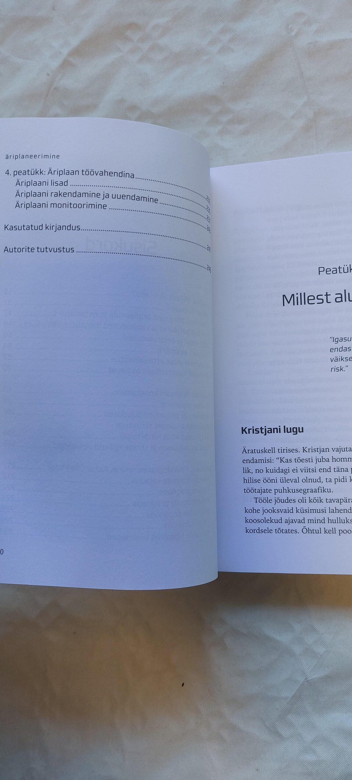 Äriplaneerimine. Andro Kullerkupp. 2007 - Pilt 4